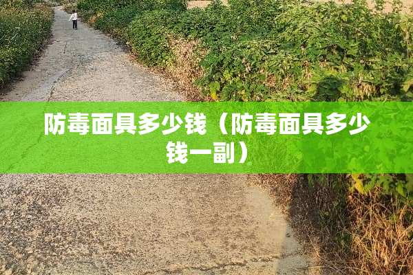 防毒**多少钱（防毒**多少钱一副）