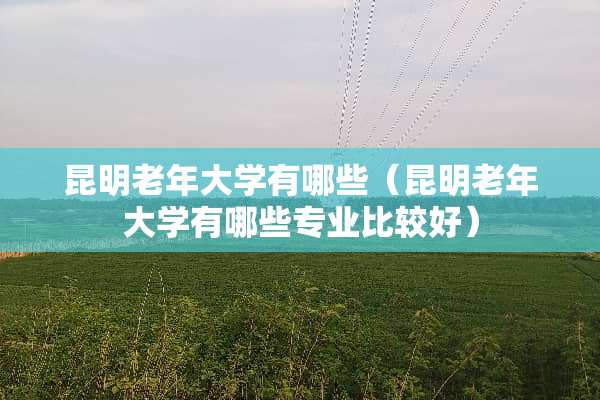 昆明老年大学有哪些（昆明老年大学有哪些专业比较好）