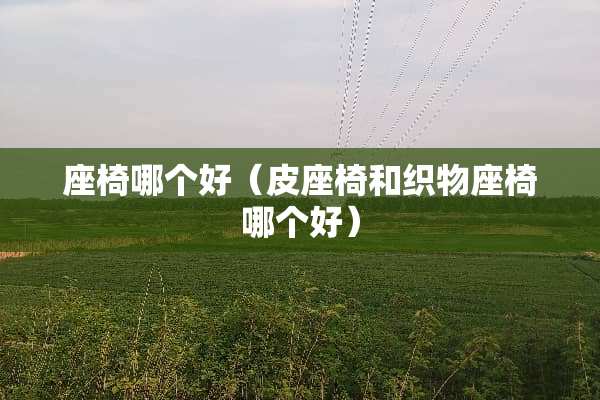座椅哪个好（皮座椅和织物座椅哪个好）