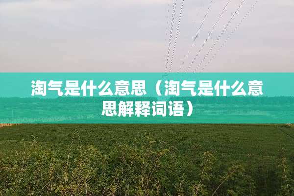 淘气是什么意思（淘气是什么意思解释词语）