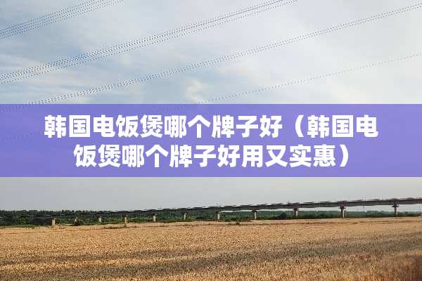 韩国电饭煲哪个牌子好（韩国电饭煲哪个牌子好用又实惠）
