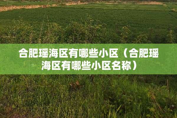 合肥瑶海区有哪些小区（合肥瑶海区有哪些小区名称）