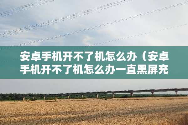 安卓手机开不了机怎么办（安卓手机开不了机怎么办一直黑屏充电没反应）