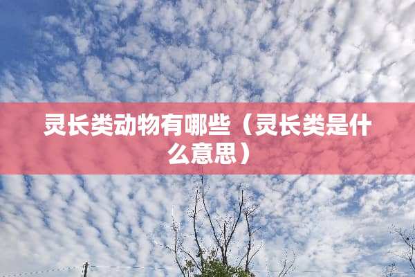 灵长类动物有哪些（灵长类是什么意思）