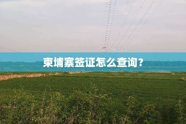 柬埔寨签证怎么查询？