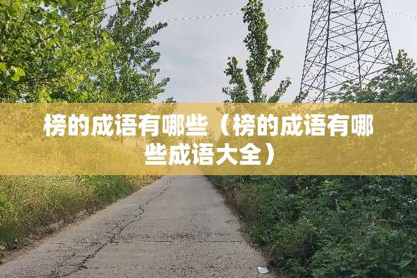 榜的成语有哪些（榜的成语有哪些成语大全）