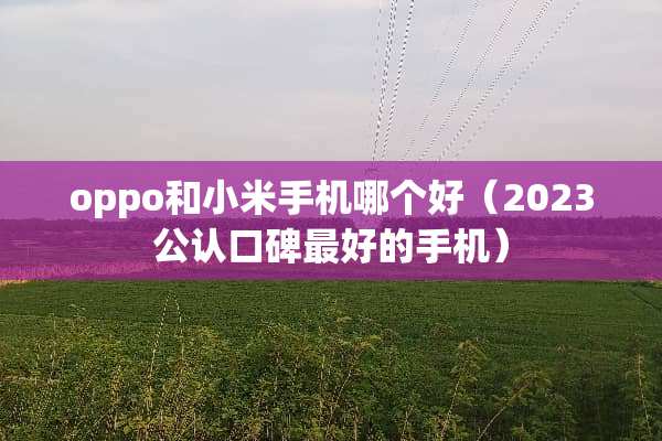 oppo和小米手机哪个好（2023公认口碑最好的手机）