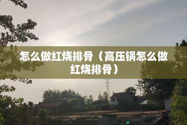 怎么做红烧排骨（高压锅怎么做红烧排骨）