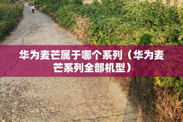 华为麦芒属于哪个系列（华为麦芒系列全部机型）