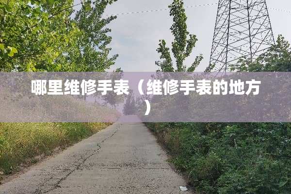 哪里维修手表（维修手表的地方）