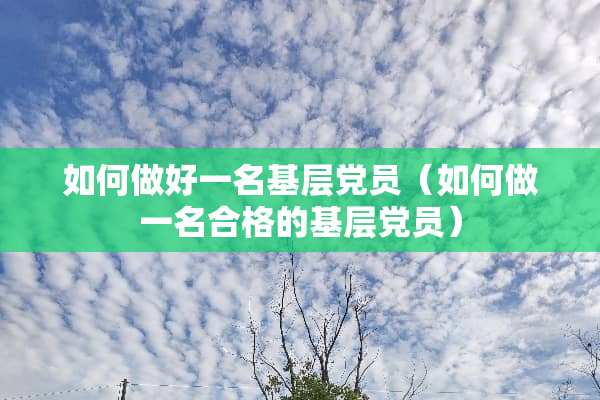 如何做好一名基层*员（如何做一名合格的基层*员）