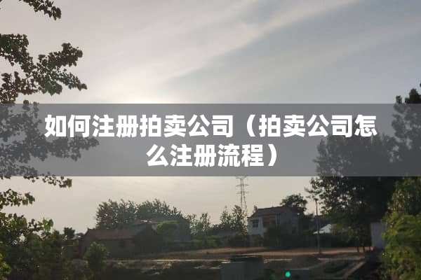 如何注册拍卖公司（拍卖公司怎么注册流程）