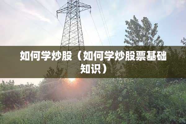 如何学炒股（如何学炒股票基础知识）
