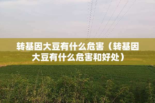 转基因大豆有什么危害（转基因大豆有什么危害和好处）