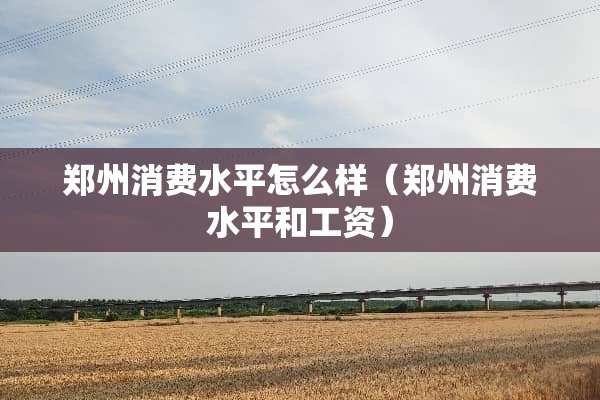 郑州消费水平怎么样（郑州消费水平和工资）