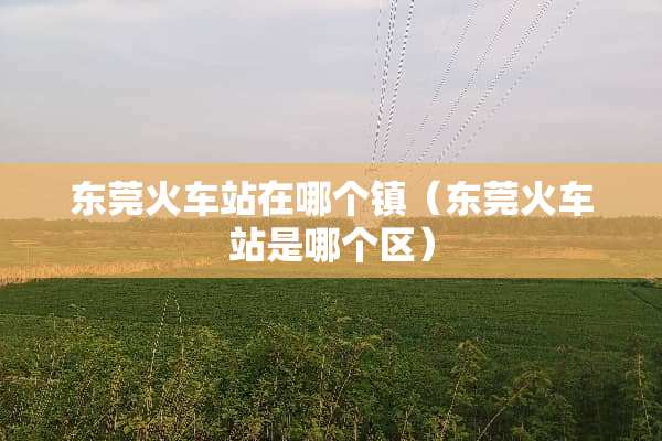 东莞火车站在哪个镇（东莞火车站是哪个区）