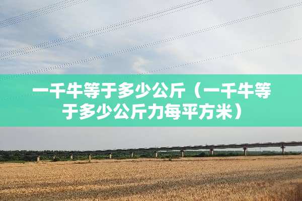 一千牛等于多少公斤（一千牛等于多少公斤力每平方米）