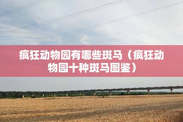 疯狂动物园有哪些斑马（疯狂动物园十种斑马图鉴）