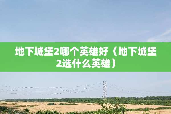 **城堡2哪个英雄好（**城堡2选什么英雄）