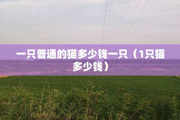 一只普通的猫多少钱一只（1只猫多少钱）