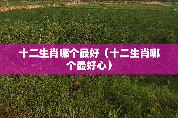 十二生肖哪个最好（十二生肖哪个最好心）