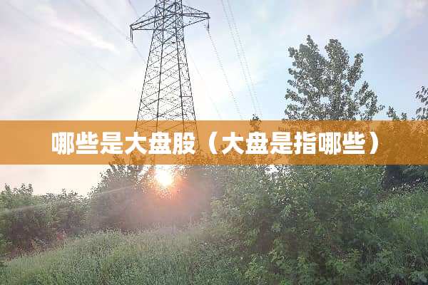 哪些是大盘股（大盘是指哪些）
