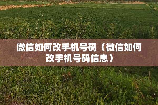 微信如何改手机号码（微信如何改手机号码信息）