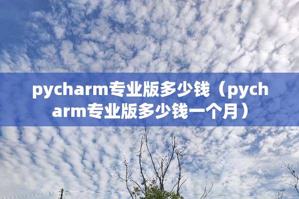 pycharm专业版多少钱（pycharm专业版多少钱一个月）