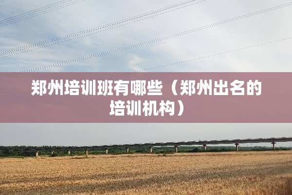 郑州培训班有哪些（郑州出名的培训机构）