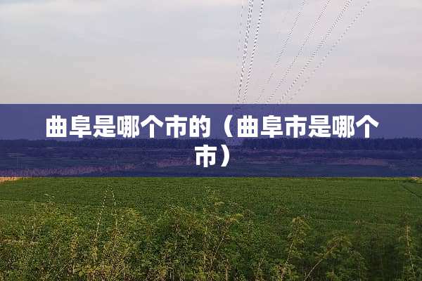 曲阜是哪个市的（曲阜市是哪个市）