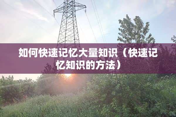 如何快速记忆大量知识（快速记忆知识的方法）