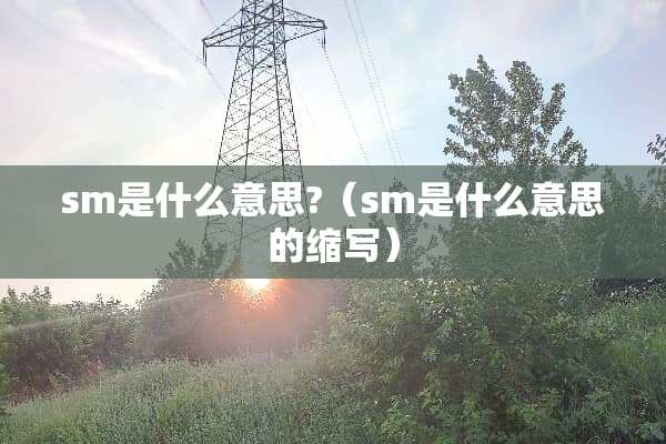 sm是什么意思?（sm是什么意思的缩写）