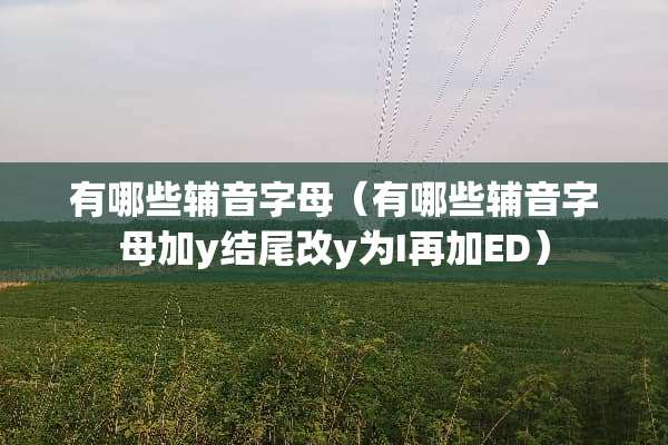 有哪些辅音字母（有哪些辅音字母加y结尾改y为I再加ED）