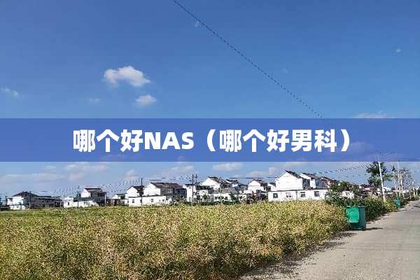 哪个好NAS（哪个好男科）
