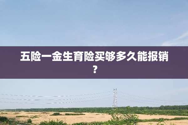 五险一金生育险买够多久能报销？