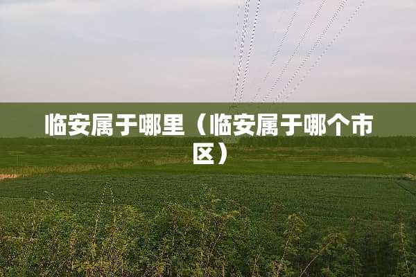 临安属于哪里（临安属于哪个市区）