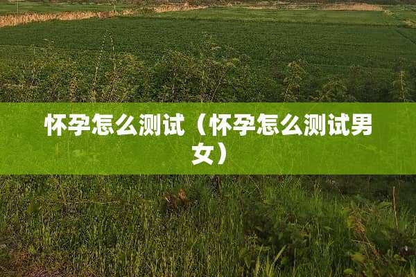 怀孕怎么测试（怀孕怎么测试男女）