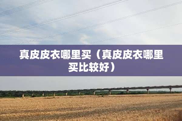 真皮皮衣哪里买（真皮皮衣哪里买比较好）