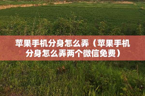苹果手机分身怎么弄（苹果手机分身怎么弄两个微信免费）
