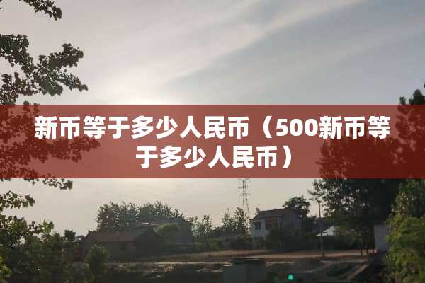 新币等于多少人民币（500新币等于多少人民币）