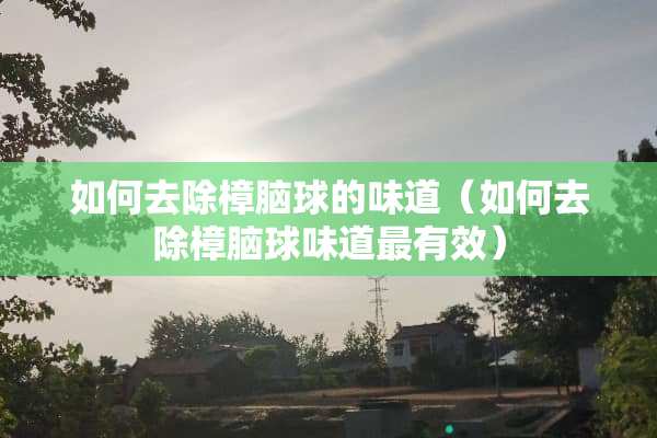 如何去除樟脑球的味道（如何去除樟脑球味道最有效）
