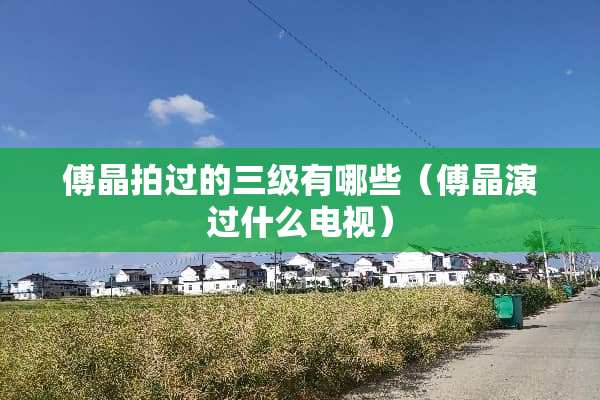傅晶拍过的**有哪些（傅晶演过什么电视）