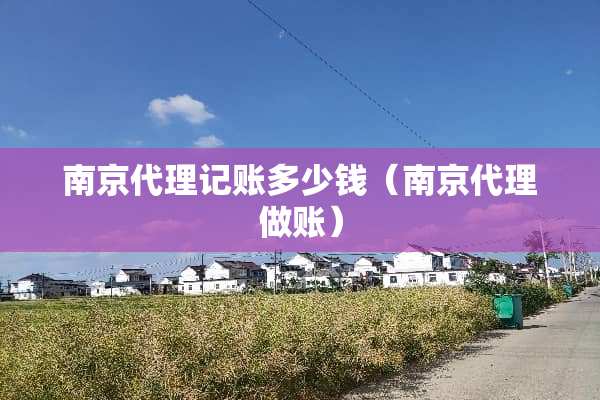 南京代理记账多少钱（南京代理做账）