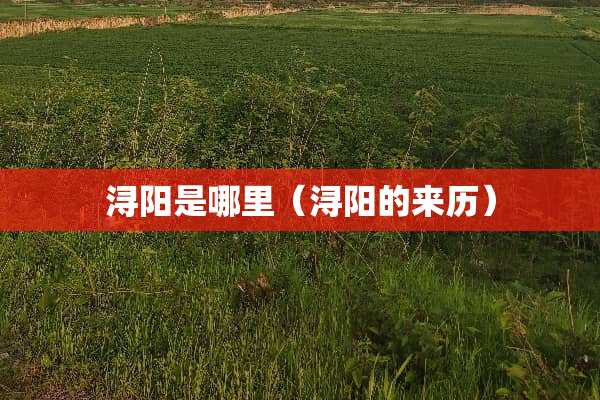 浔阳是哪里（浔阳的来历）