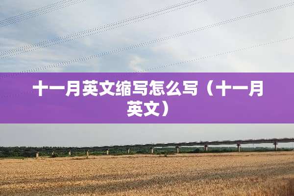 十一月英文缩写怎么写（十一月英文）