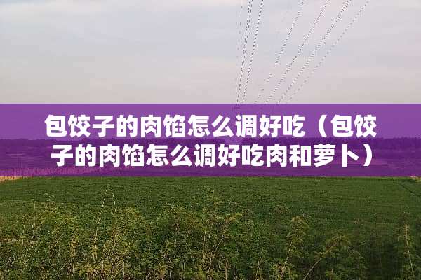 包饺子的肉馅怎么调好吃（包饺子的肉馅怎么调好吃肉和萝卜）