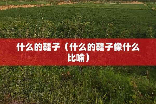 什么的鞋子（什么的鞋子像什么比喻）