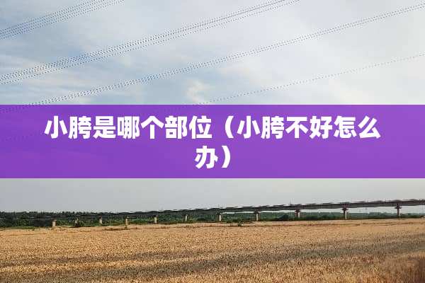 小胯是哪个部位（小胯不好怎么办）