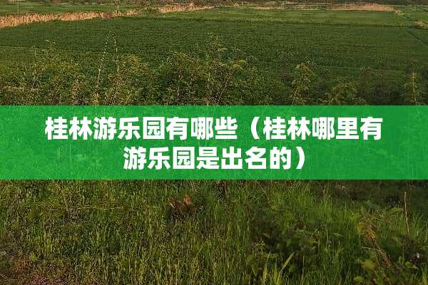 桂林游乐园有哪些（桂林哪里有游乐园是出名的）