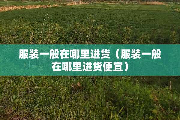 服装一般在哪里进货（服装一般在哪里进货便宜）